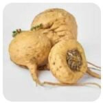 Raiz de Maca Aumenta sua energia