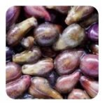 Grape Seed

Antioxidants protect the ear