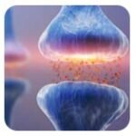 Gaba

Supports relaxation and relieves anxiety